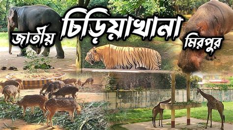 বাংলাদেশ জাতীয় চিড়িয়াখানা মিরপুর। Bangladesh national zoo . - YouTube