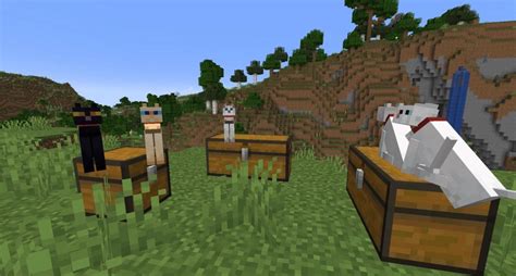 How to Find and Tame a Cat in 'Minecraft'