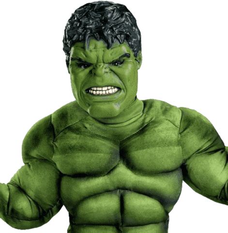 Download Avengers Hulk Classic Muscle Costume - Incredible Hulk Costume ...