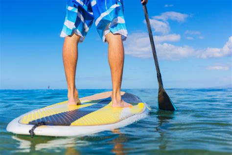 Four Awesome Stand Up Paddle Boarding Locations Near Cairns - Fitzroy ...