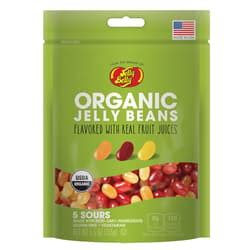 Organic Jelly Beans, Candy & Fruit Snacks | Jelly Belly Candy Company