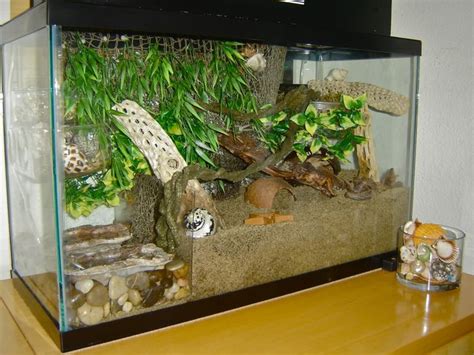 Plexiglas water divider | Hermit crab tank, Hermit crab habitat, Hermit ...