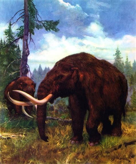 Mastodon | Cryptids and Myths Wiki | Fandom