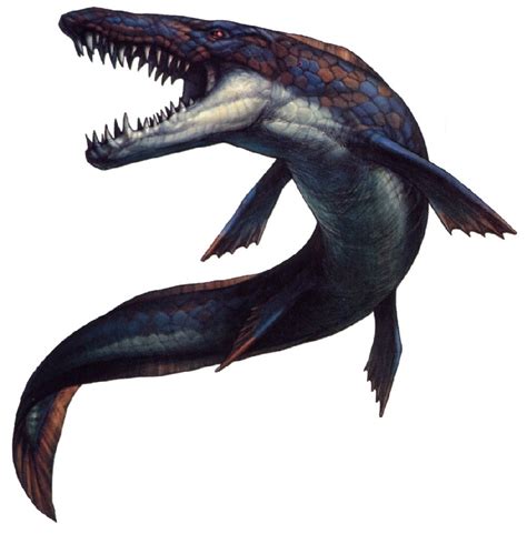 Mosasaurus Pictures & Facts - The Dinosaur Database