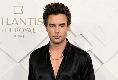 One Direction's Liam Payne Teases Surprising Career Pivot - Parade ...