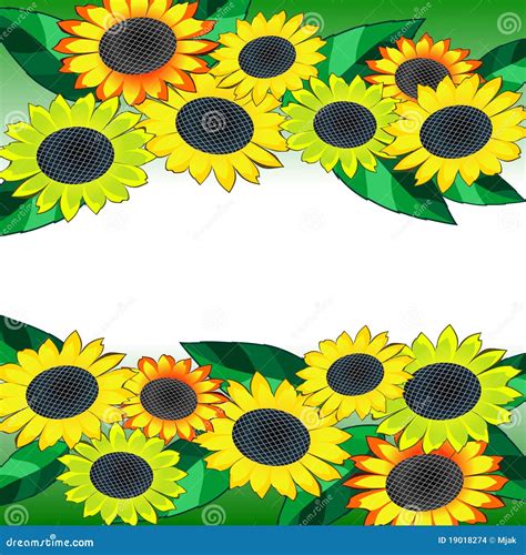 Sunflower banner stock vector. Illustration of illustration - 19018274