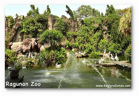 Ragunan Zoo, A Day Spent to See The Zoo and Have a Picnic in Jakarta