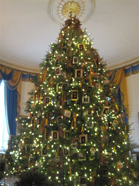 Kris's 2011 - A Photo A Day: The Blue Room Christmas Tree at the White ...