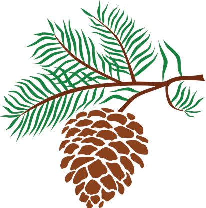 Pinecone Clipart - ClipArt Best