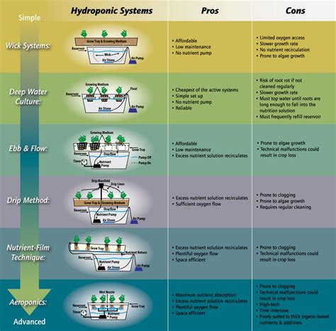 1000+ images about Hydroponics on Pinterest | Gardens, Hydroponic systems and Plants