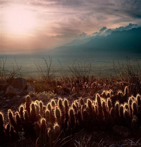 Cuatro Cienegas, Coahuila Mexico Travel, Mexico Trips, Equatorial, Central America, Pretty ...