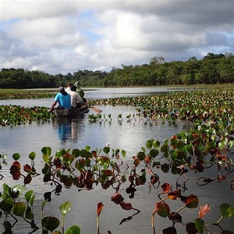 Rewa Eco Lodge - Arapaima Fly Fishing