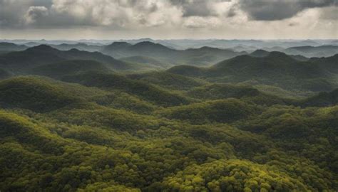 Brazil's Cerrado forests won't be saved by corporate pledges on deforestation