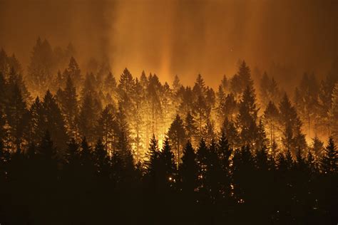 Guilty plea for teen accused of sparking Columbia River Gorge wildfire | The Spokesman-Review