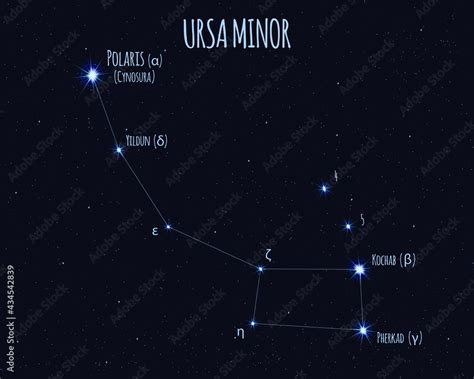 Little Bear Constellation