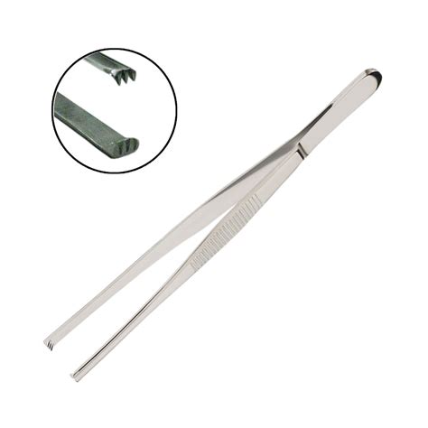 2 x 3 Tooth Tissue Forceps | Mortech Manufacturing Company Inc. Quality Stainless Steel Autopsy ...