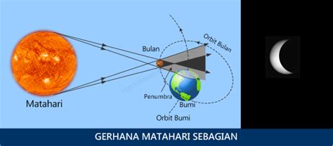 "Kamus Arti Kata dan Arti Nama Rebanas"