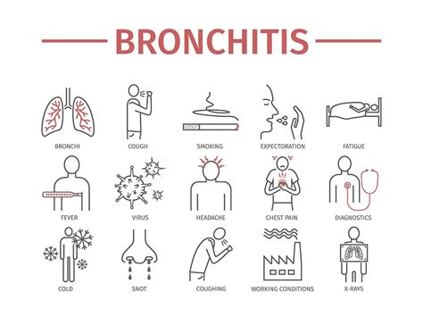 Chest Cold | symptoms, treatments, home remedies, anatomy, infographics