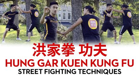 Hung Gar Kuen Kung Fu Street Fighting Techniques 洪家拳功夫技術 - YouTube