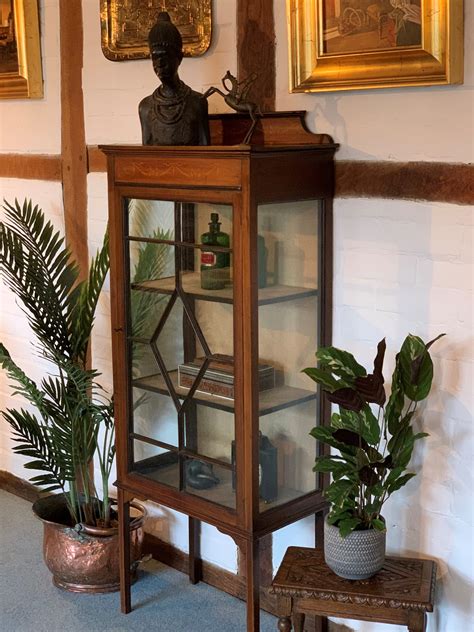 A Handsome Edwardian Mahogany Display Cabinet – La BelleGray