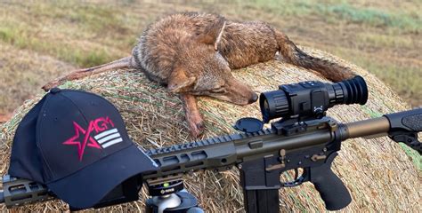 Varmint Hunting Rifles - The Old Deer Hunters