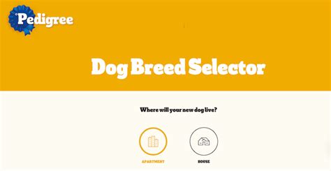 8 Dog Breed Selector Tools For Find Your Perfect Dog!