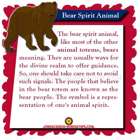 Bear Spirit Animal: Meaning, Symbolism and Dream of the Bear Totem