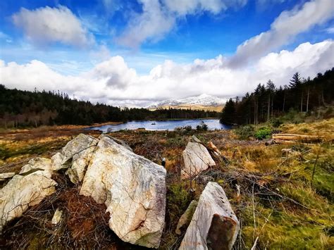 Flashback to the beautiful Beddgelert Forest, North Wales back in January. With stunning views ...