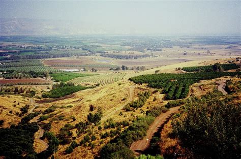 Palestine Landscape