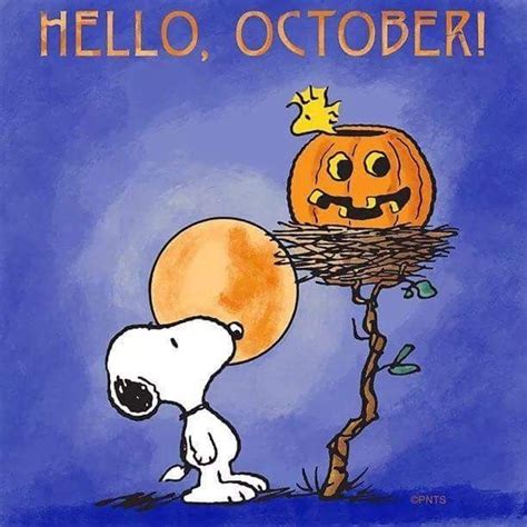 Snoopy Hello October 🎃 | Snoopy halloween, Snoopy, Snoopy love