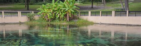 Salt Springs, Ocala National Forest – Florida Hikes