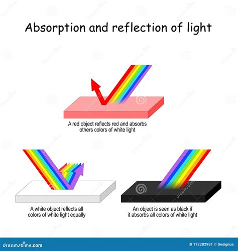 Color Light Absorption and Reflection Stock Vector - Illustration of ...