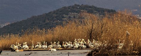 Lake Skadar National Park - Undiscovered Montenegro