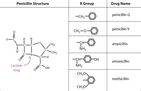 Penicillins; Antibiotics, Penicillin