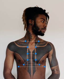 Anterior Thorax – Percussion – Introduction to Health Assessment for ...