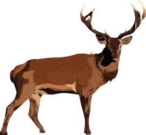 Search: deer district Logo PNG Vectors Free Download