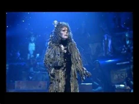 Cats Musical London Memory - Cats Family