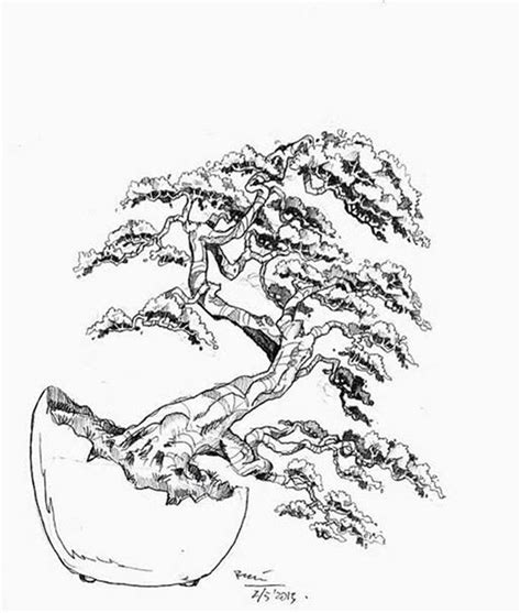 The best free Bonsai drawing images. Download from 181 free drawings of ...