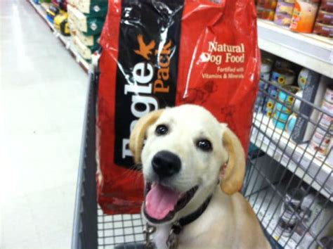 Eagle Pack Dog Food 2022 Review, Rating & Recalls - Dog Food Care