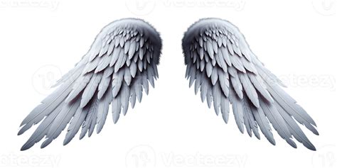 White angel wings. 43371460 PNG