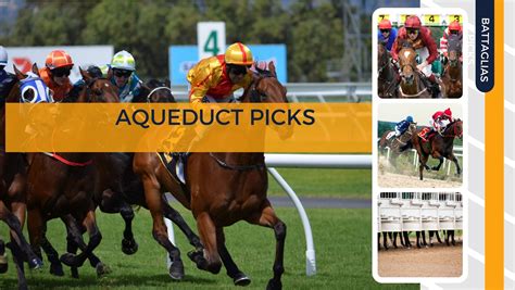 Free Aqueduct Picks plus long shot plays 6-1 or higher