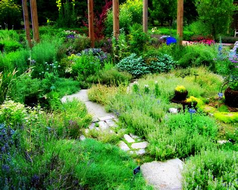 Herb Garden III by MadGardens on DeviantArt