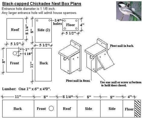 Cute Finch Bird House Plans - New Home Plans Design