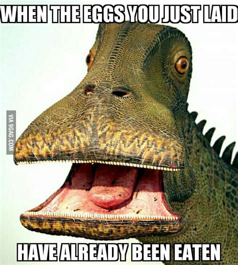 My New Original Meme: The Disgruntled Dinosaur - 9GAG