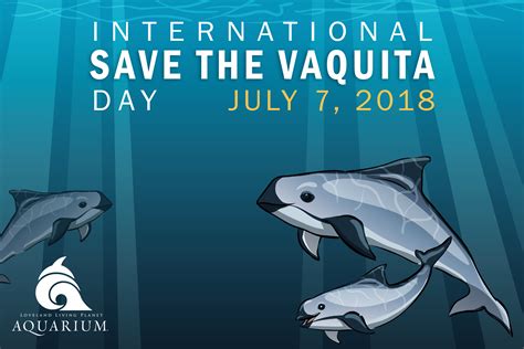 International Save the Vaquita Day - The Living Planet Aquarium