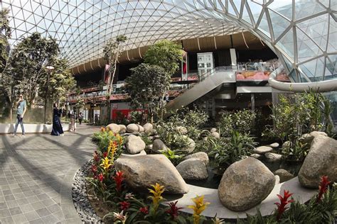 Doha's Hamad Airport unveils massive indoor garden as part of expansion