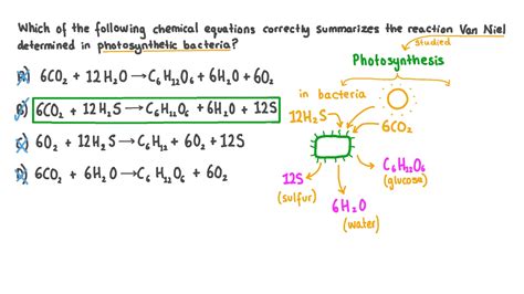 Question Video: Recalling the Correct Chemical Equation for Photosynthesis in Bacteria | Nagwa