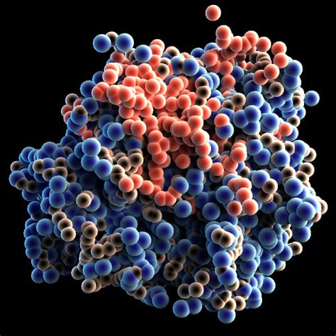 3d model protein molecule