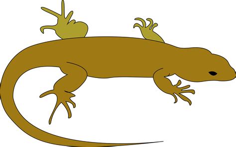 Brown lizard, illustration, vector on white background. 13722467 Vector ...