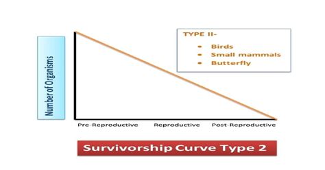 Survivorship Curves: All 3 Types And Their Important Examples